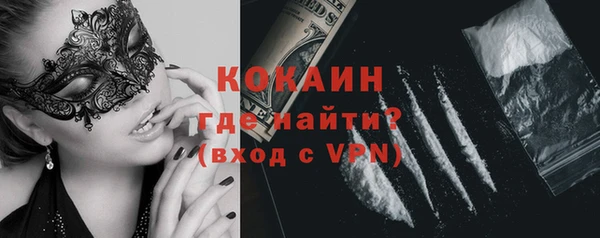шишки Беломорск