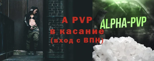 шишки Беломорск