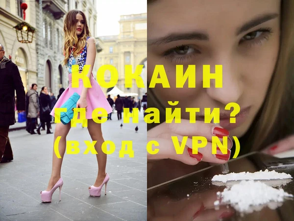 шишки Беломорск