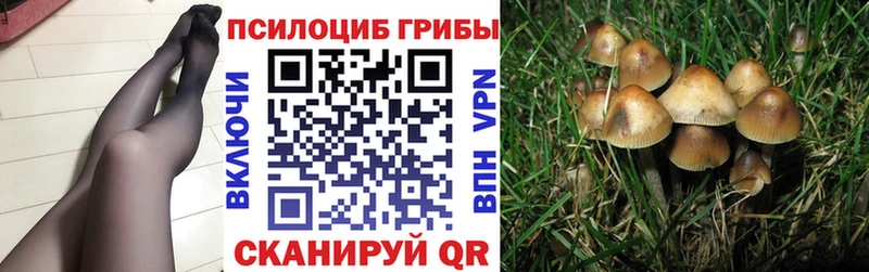 даркнет сайт  ОМГ ОМГ ссылки  Галлюциногенные грибы ЛСД  darknet какой сайт  Городовиковск 
